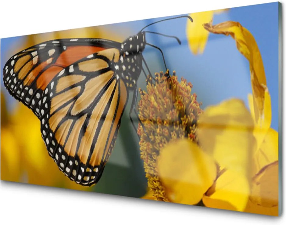 Obraz plexi Motýľ kvet príroda