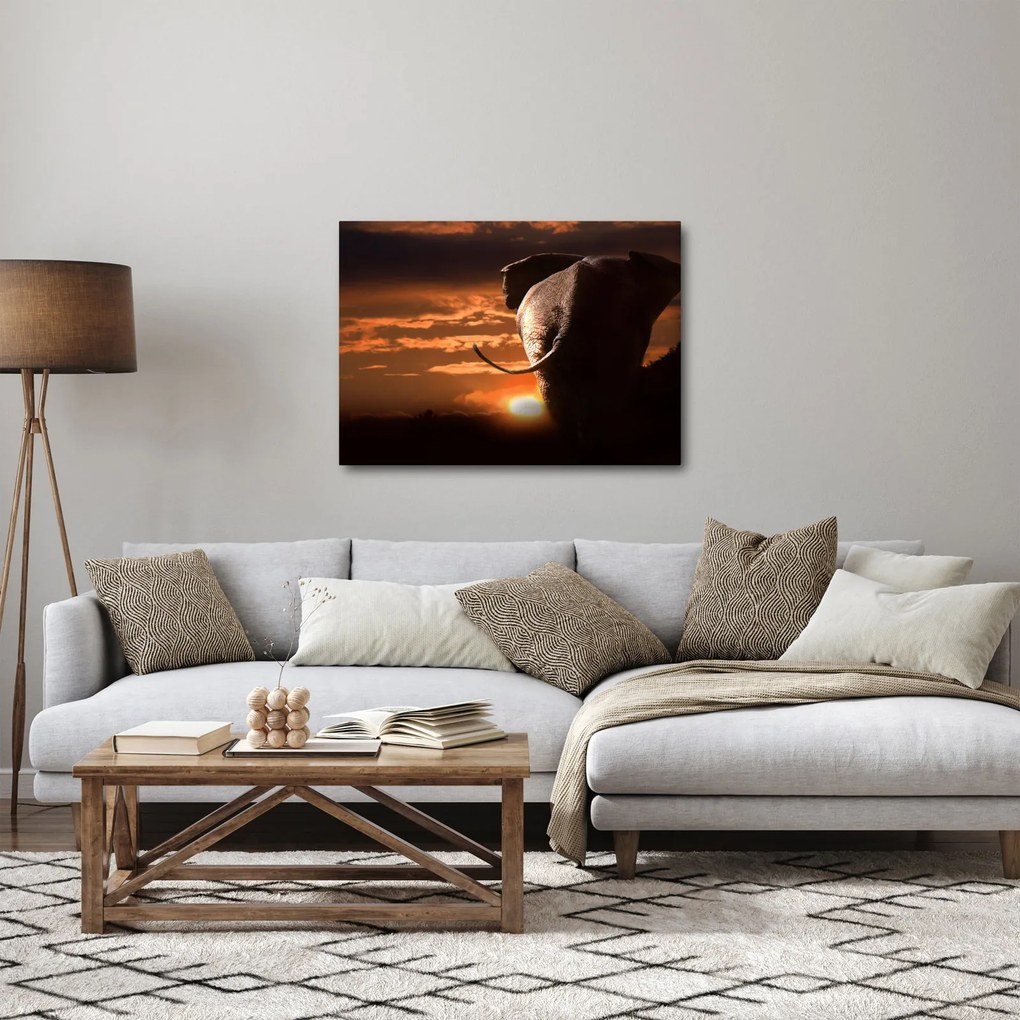 Obraz slona (70x50 cm)