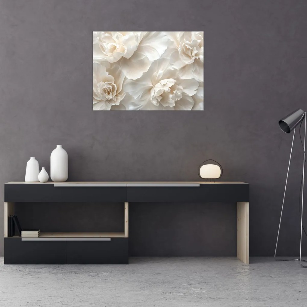 Obraz - Jemné pivonky (70x50 cm)