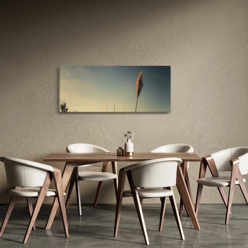 Obraz s trávou (120x50 cm)