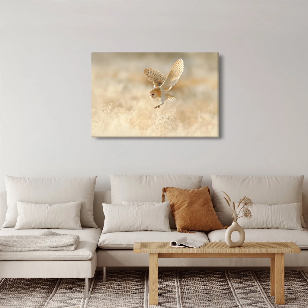 Obraz - Sova (90x60 cm)