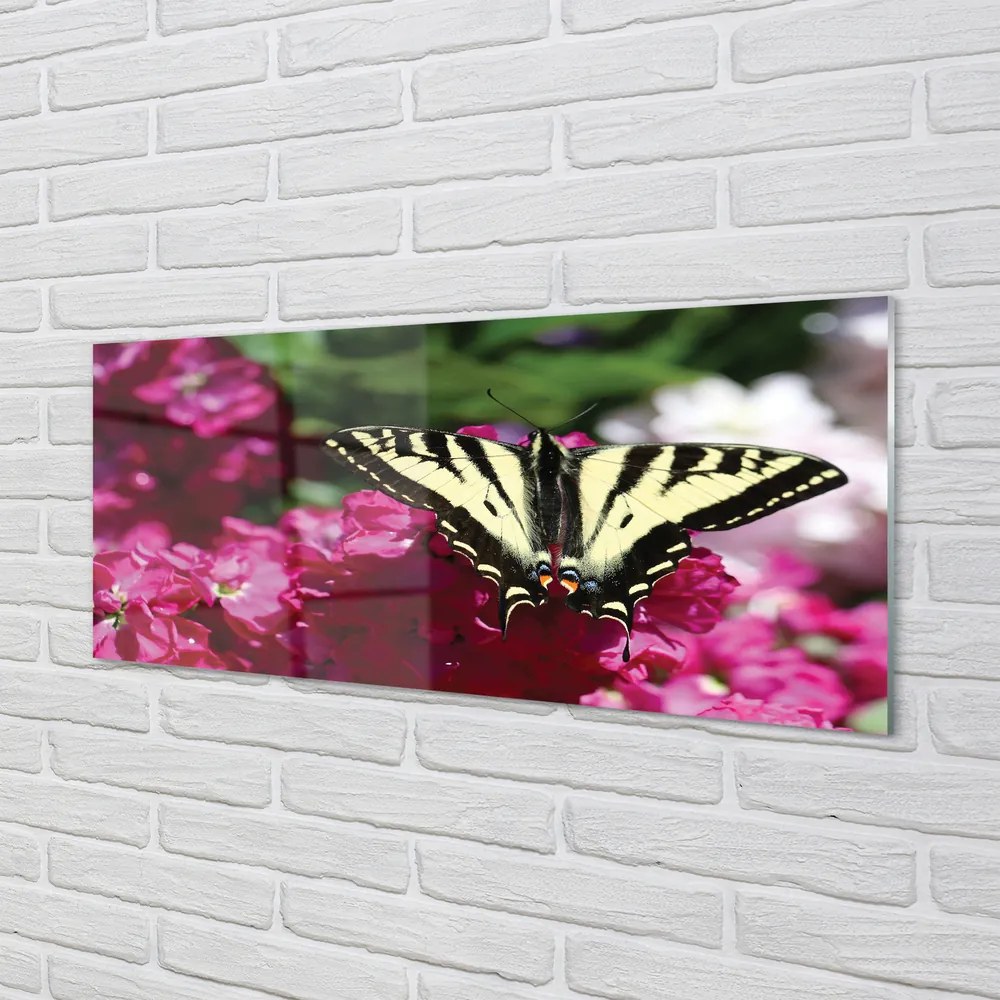 Obraz na akrylátovom skle Kvety motýľ 120x60 cm