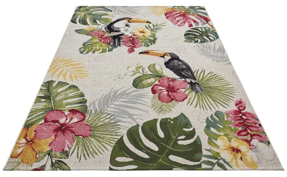 Vonkajší koberec 240x340 cm Flair – Hanse Home