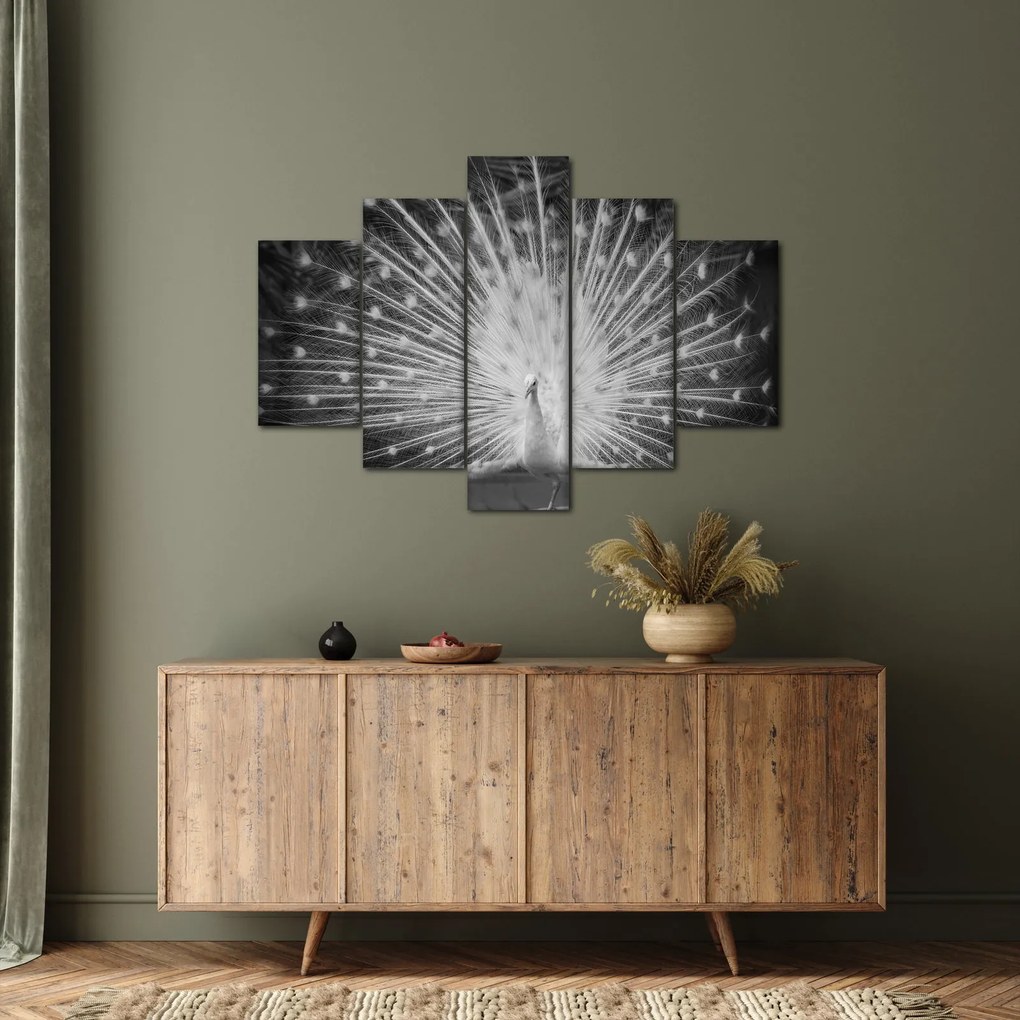 Obraz - Biely páv (150x105 cm)