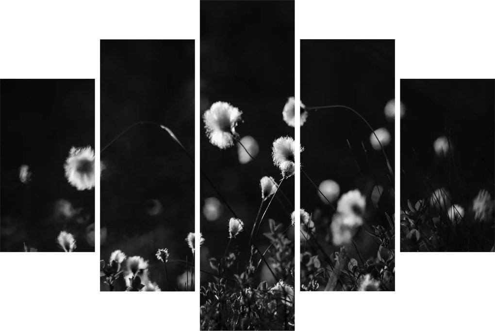 Obraz - Lúka s cottongrass N⁰1 (150x105 cm)