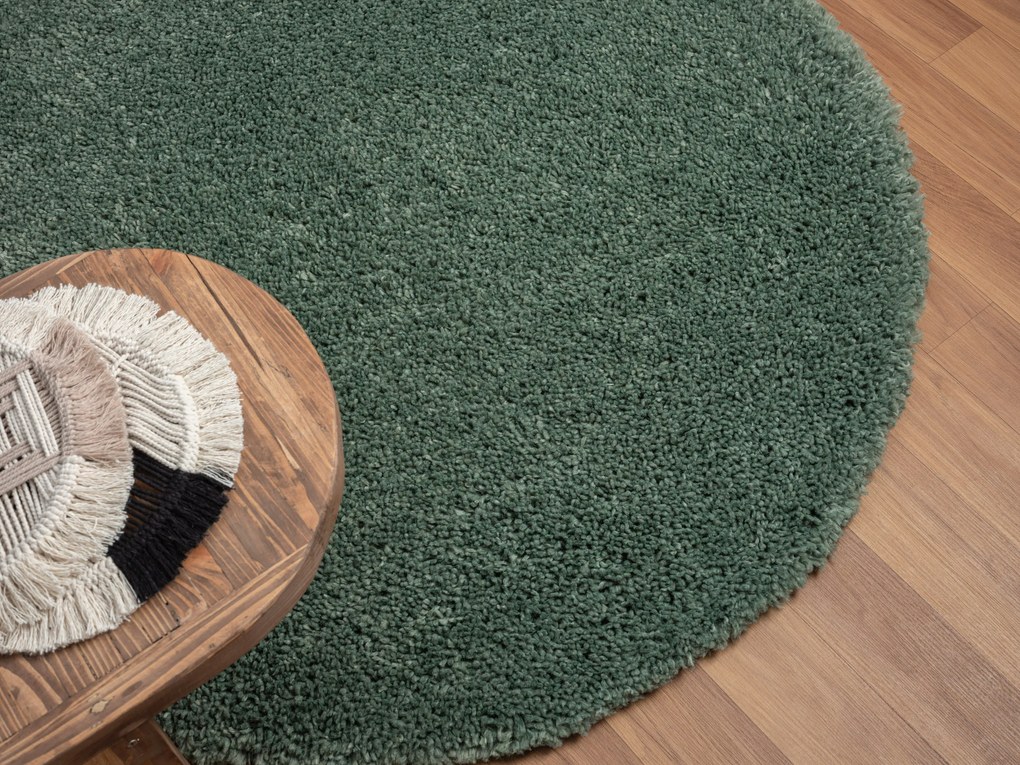 Kusový koberec My Shaggy hellgrün kruh, 150x150 (priemer) kruh, zelená, chodba / predsieň, My Flair