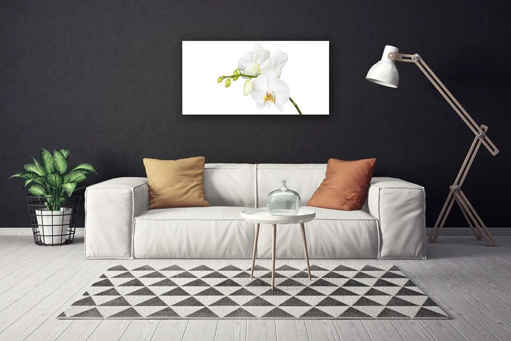 Obraz Canvas Orchidea kvety príroda 125x50 cm