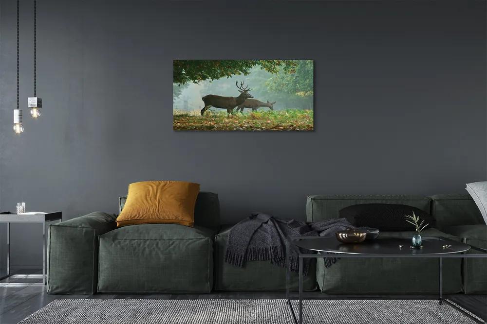 Obraz na plátne Jeleňa na jeseň les 100x50 cm