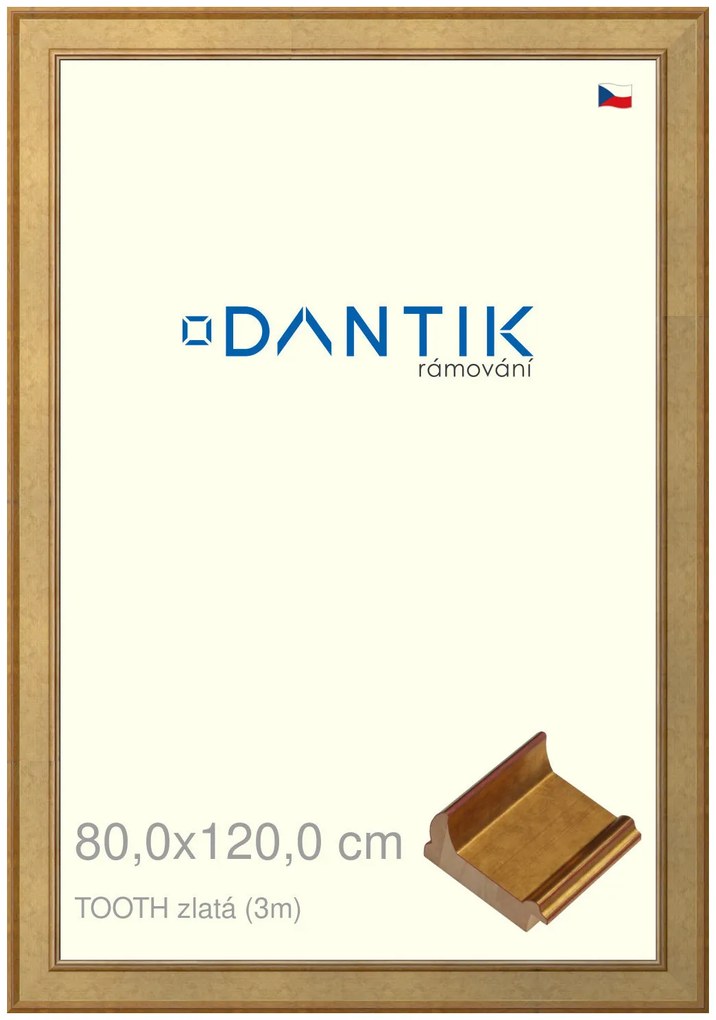 DANTIK rám na obraz 80x120 | TOOTH zlatá (Plexi Čiré)