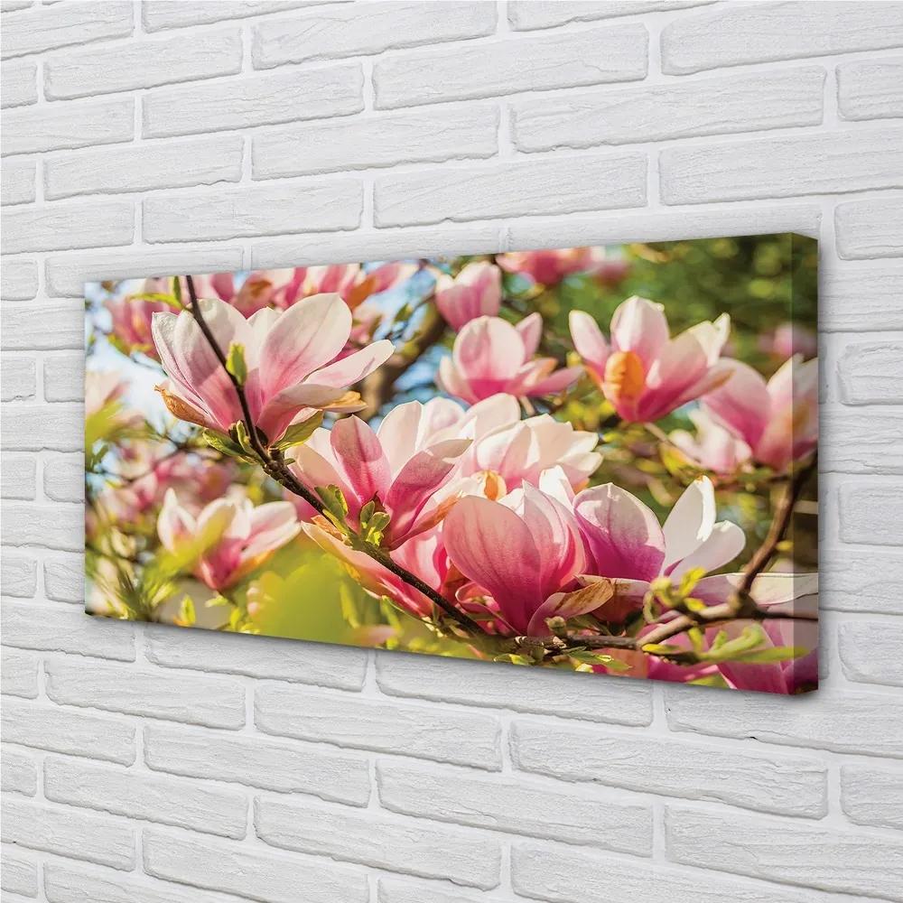 Obraz canvas ružová magnólia 120x60 cm