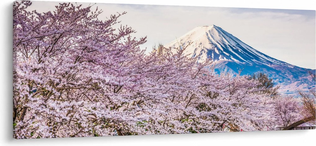 Obraz - Japonsko na jar (120x50 cm)