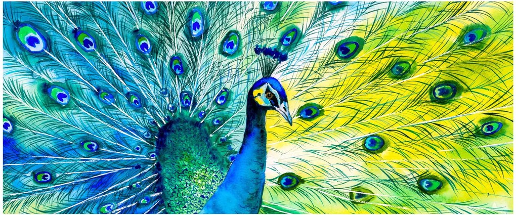 Obraz páva (120x50 cm)