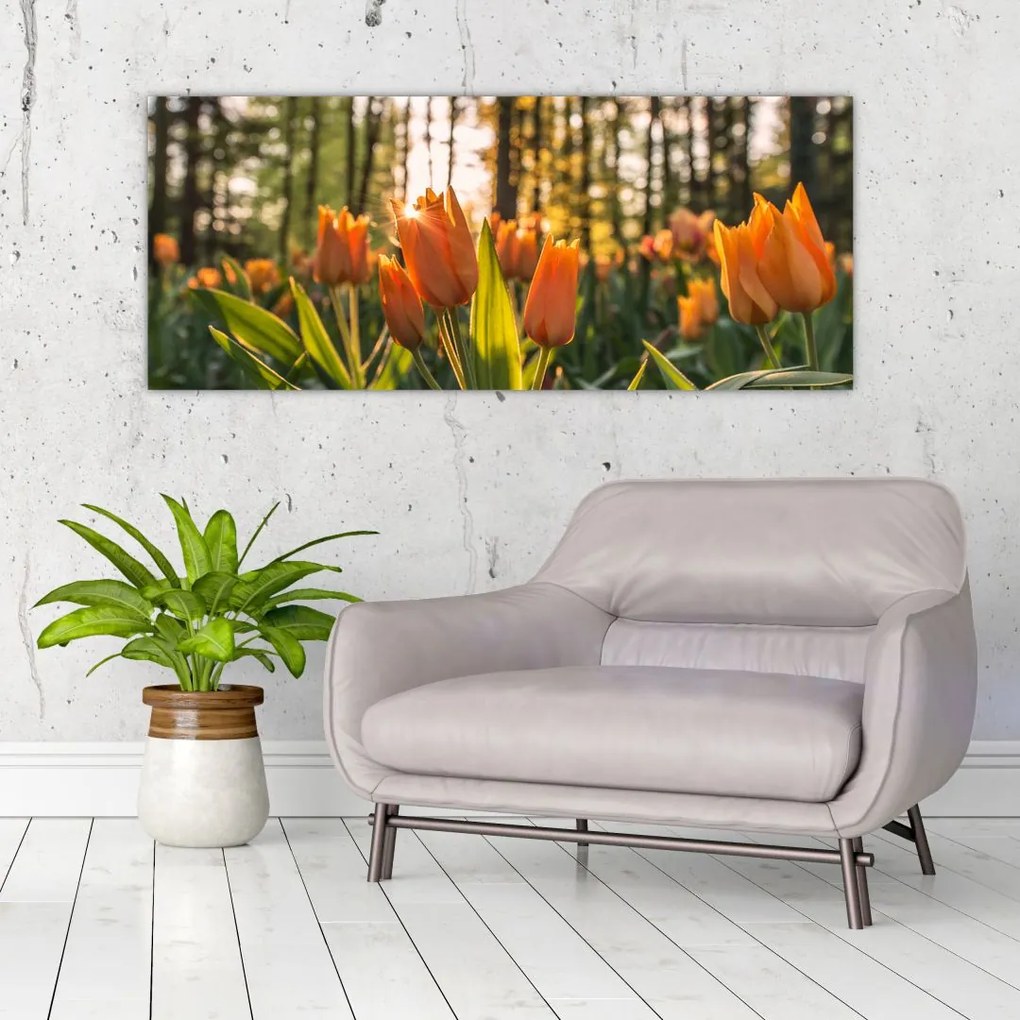 Obraz - oranžové tulipány (120x50 cm)