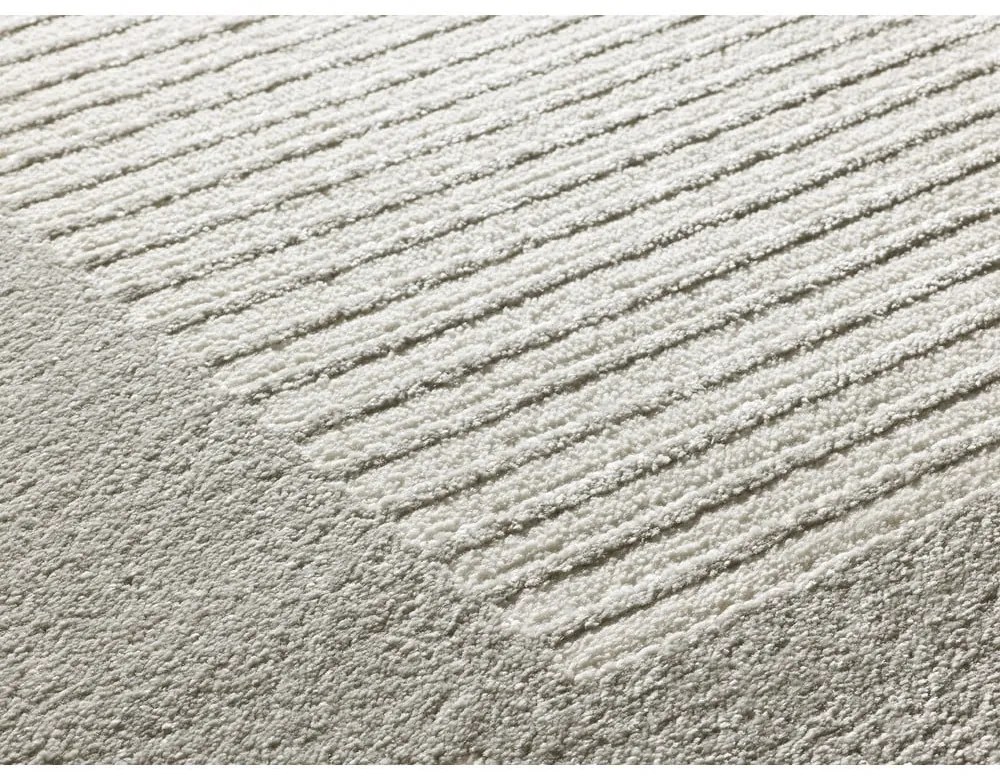 Koberec vo svetlosivej a slonovinovej farbe 200x290 cm Flora – Universal