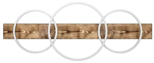 Eglo 99413 - LED Stropné svietidlo BOYAL 2xLED/12W/230V + LED/12W