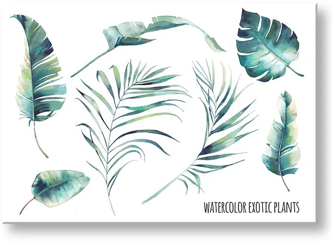 Obraz na stenu s textom Watercolor exotic plants | rôzne rozmery