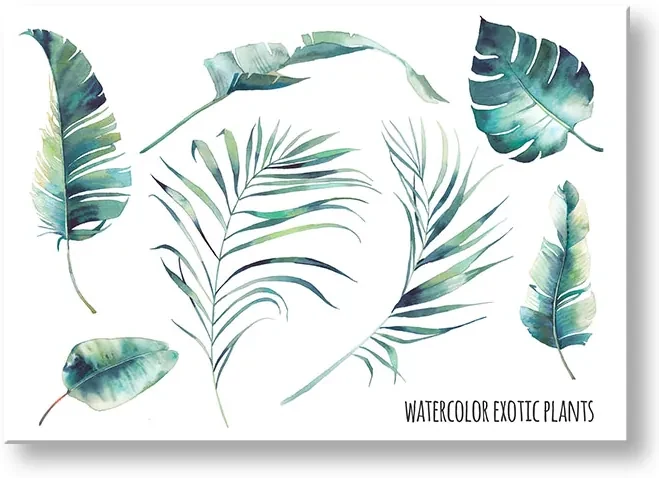 Obraz na stenu s textom Watercolor exotic plants | rôzne rozmery