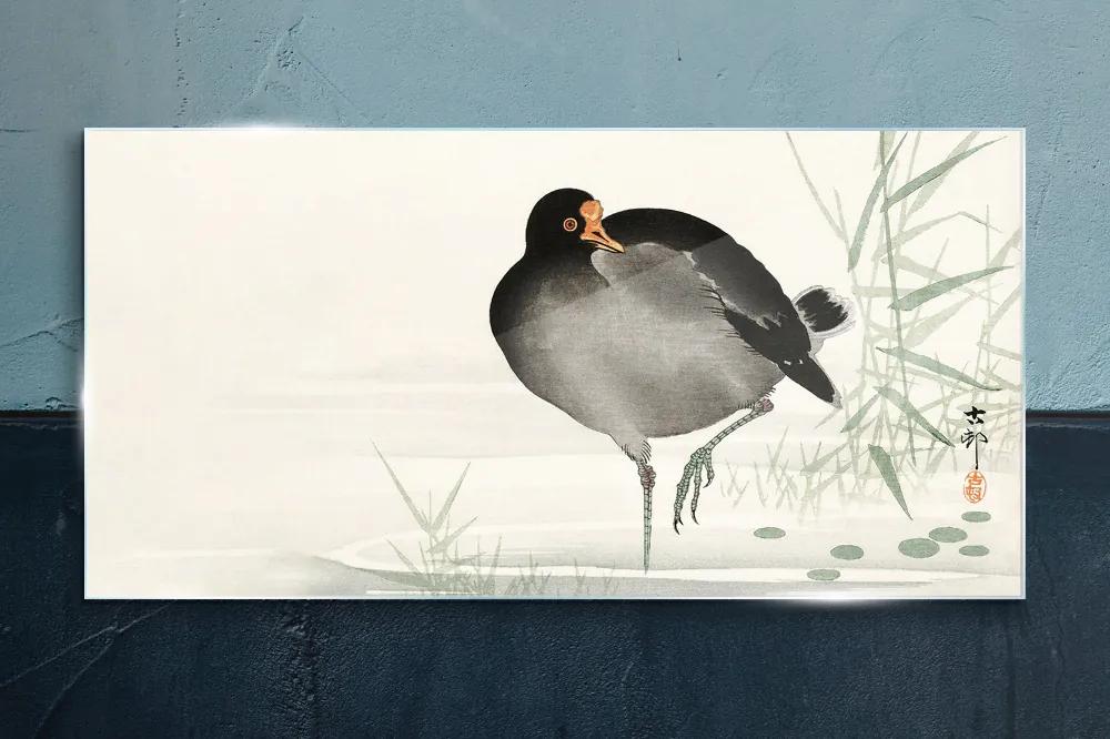 Sklenený obraz Zvieracie vták voda