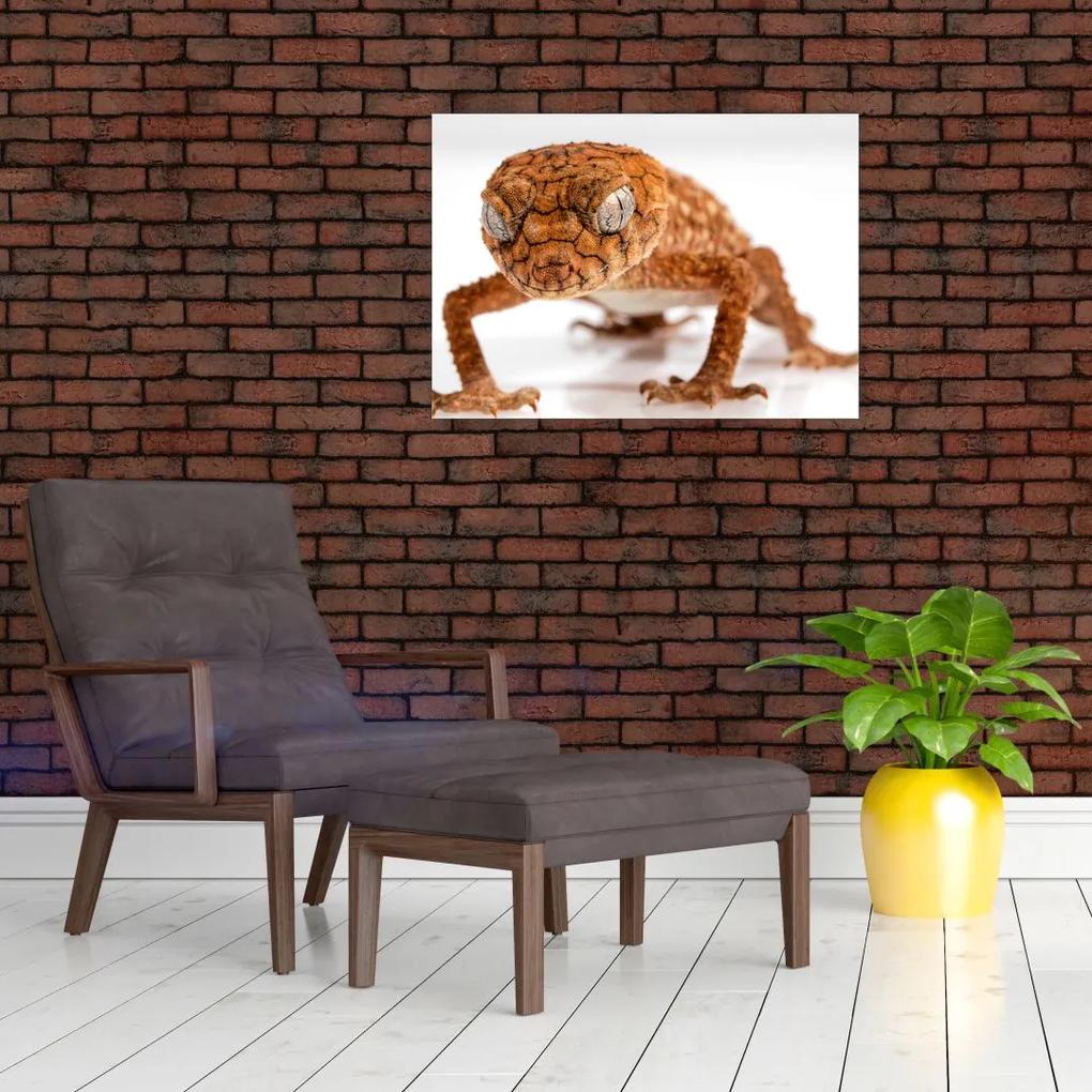 Sklenený obraz jašterice (70x50 cm)