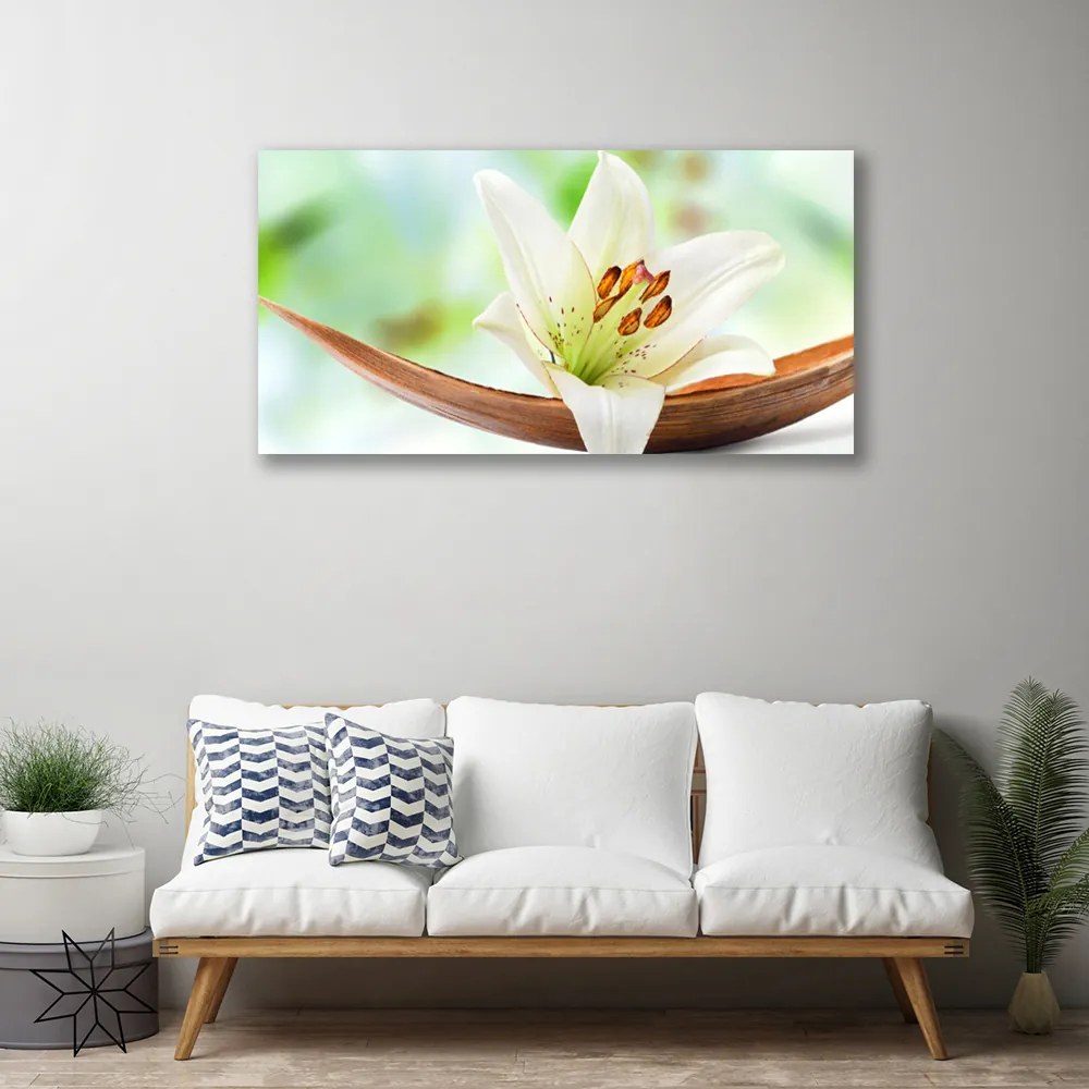 Obraz Canvas Kvet rastlina príroda 120x60 cm