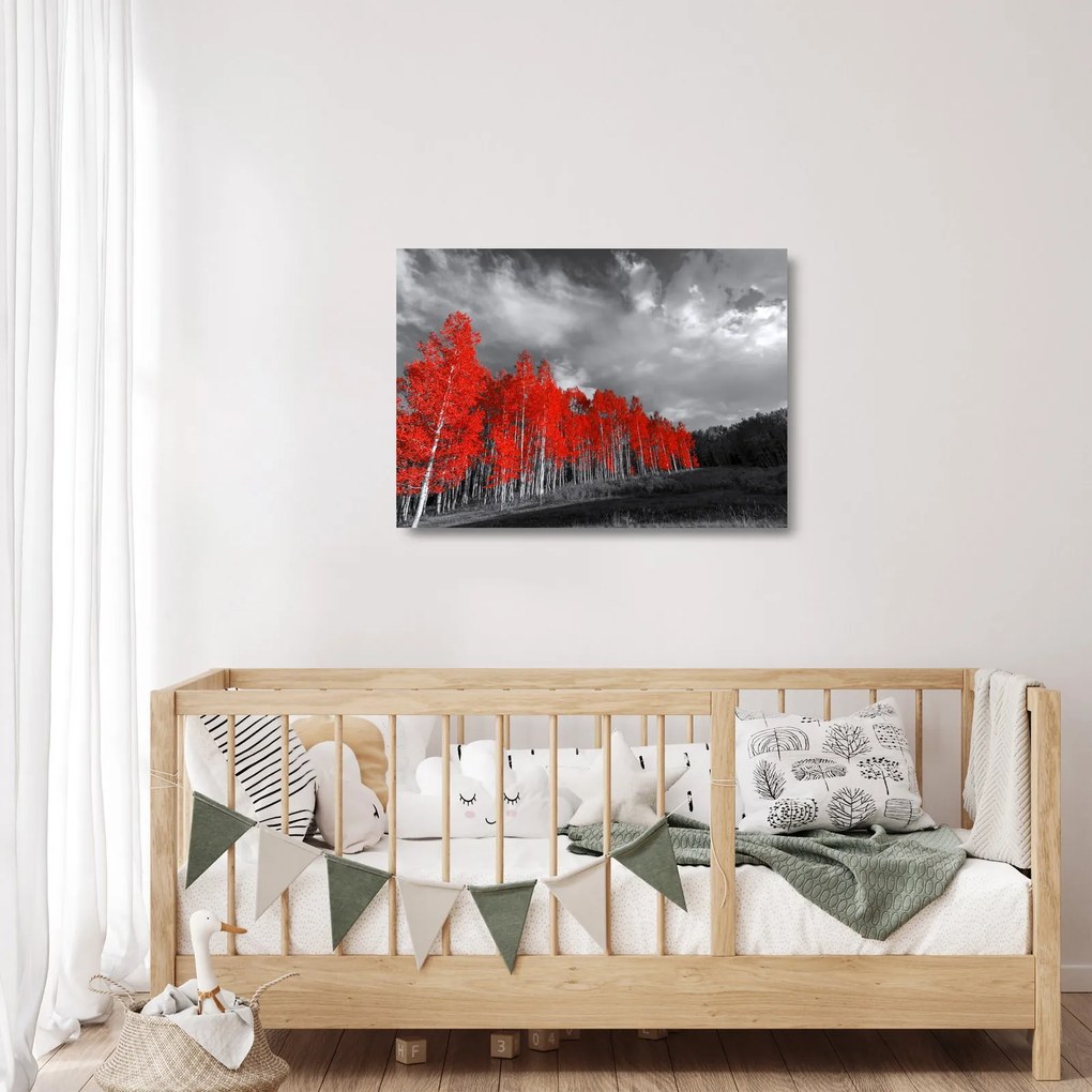 Sklenený obraz - Stromy vo farbe jesene (70x50 cm)