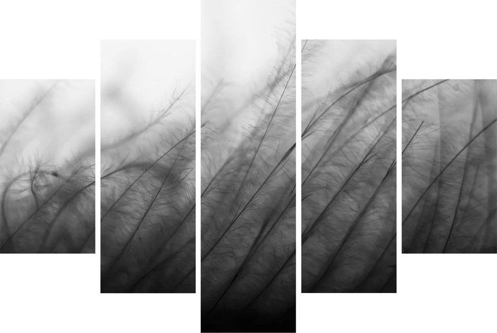 Obraz - Tráva vo vetre (150x105 cm)