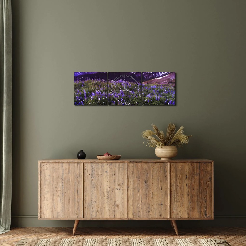 Obraz - Sopka a kvety (s hodinami) (90x30 cm)