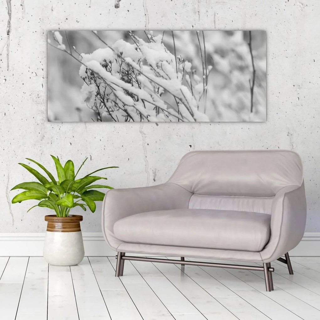 Obraz - Zasnežené vetvy (120x50 cm)