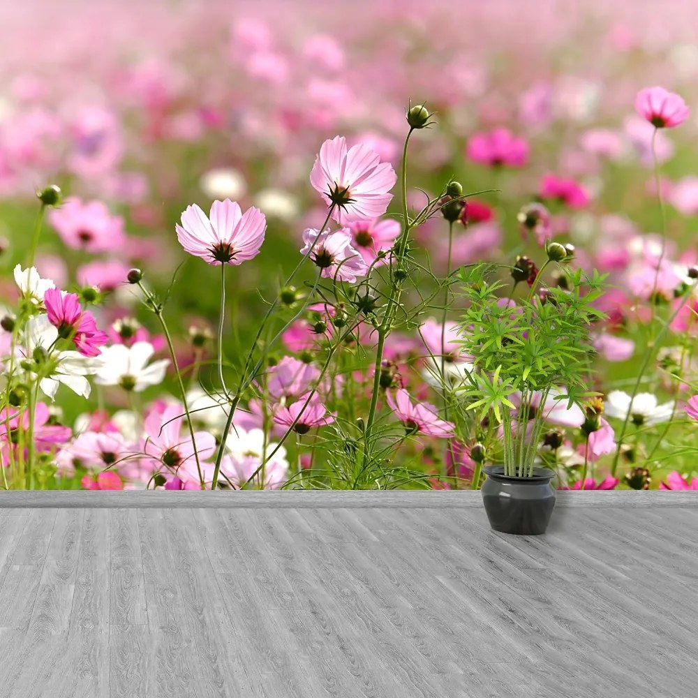 Fototapeta Vliesová Vesmír kvety 104x70 cm