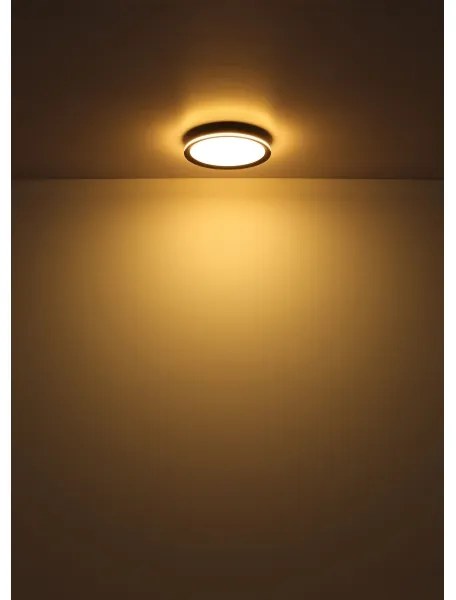 Globo 41588D - LED Stropné svietidlo BELISSA LED/30W/230V pr. 30 cm
