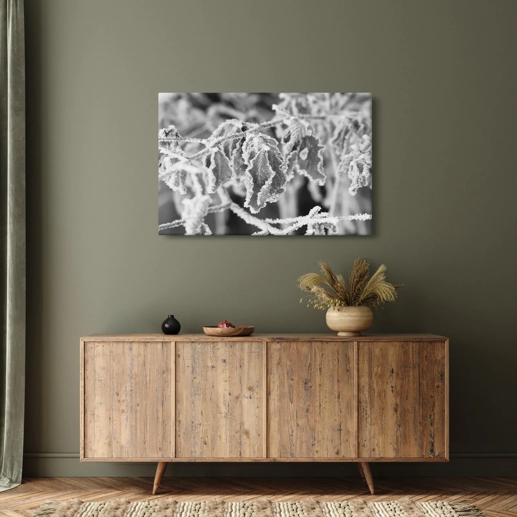 Obraz - Zmrznuté listy, čiernobiela (90x60 cm)