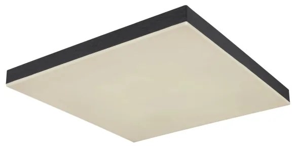 Globo 41594D2 - LED Stmievateľné stropné svietidlo DORO LED/24W/230V čierna + DO