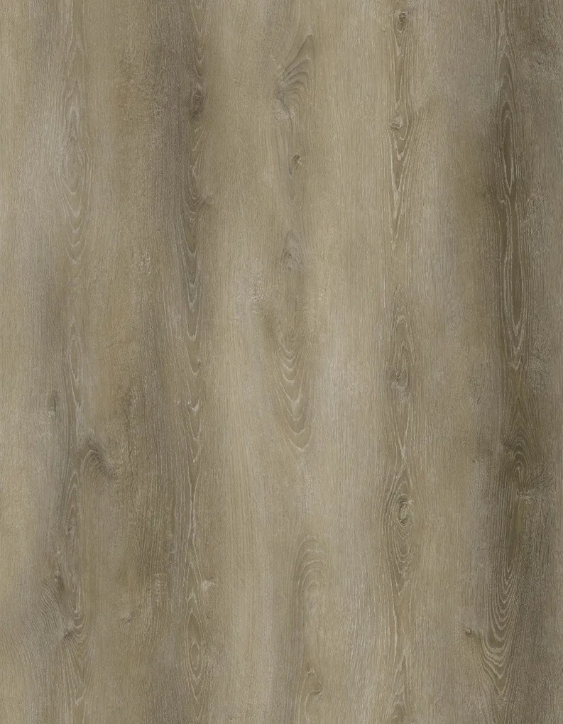 Oneflor Vinylová podlaha ECO 30 071 Traditional Oak Natural Light - Lepená podlaha