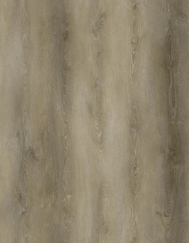 Vinylová podlaha ECO 30 071 Traditional Oak Natural Light, 1219,2 x 185 mm, Oneflor