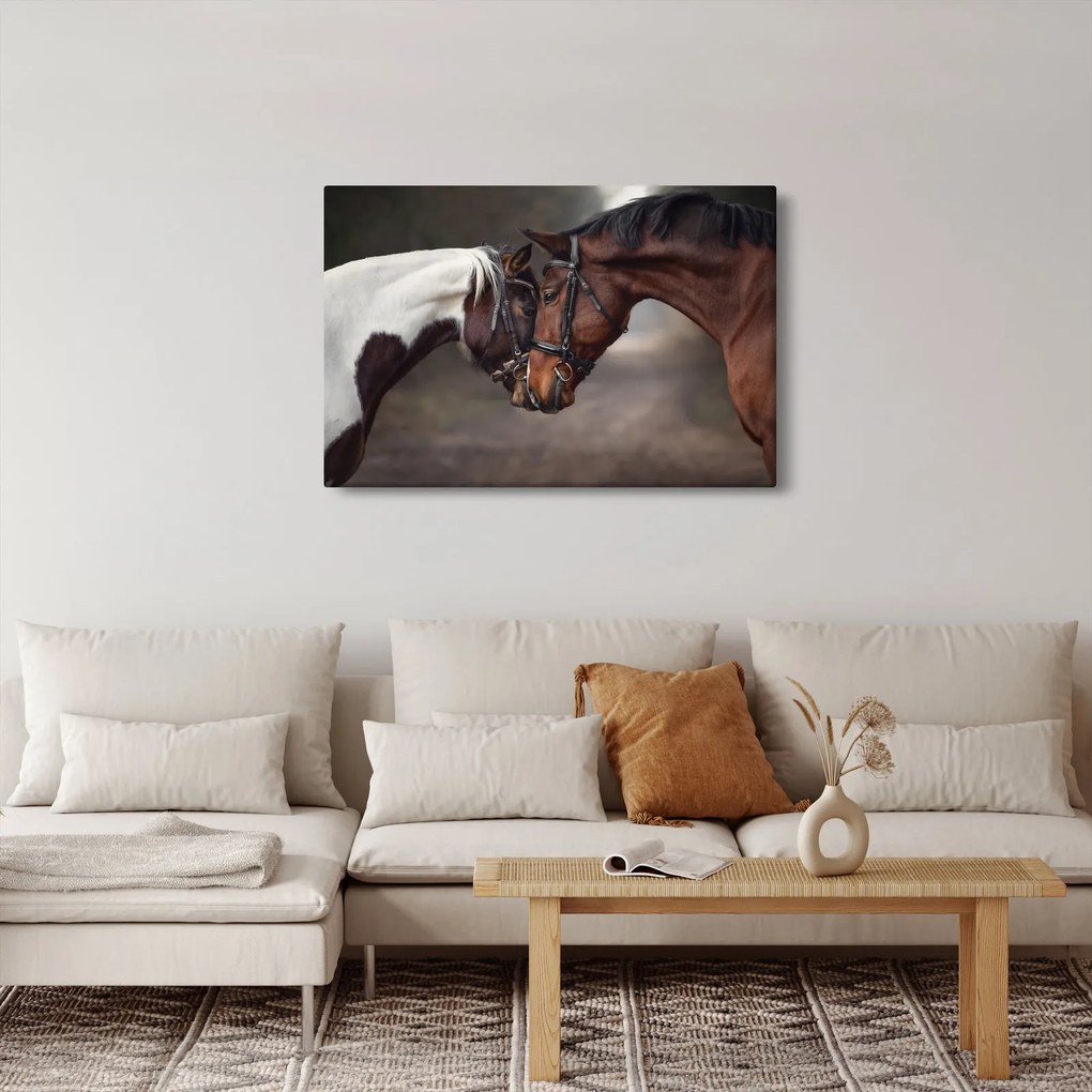 Obraz - Zamilované kone (90x60 cm)