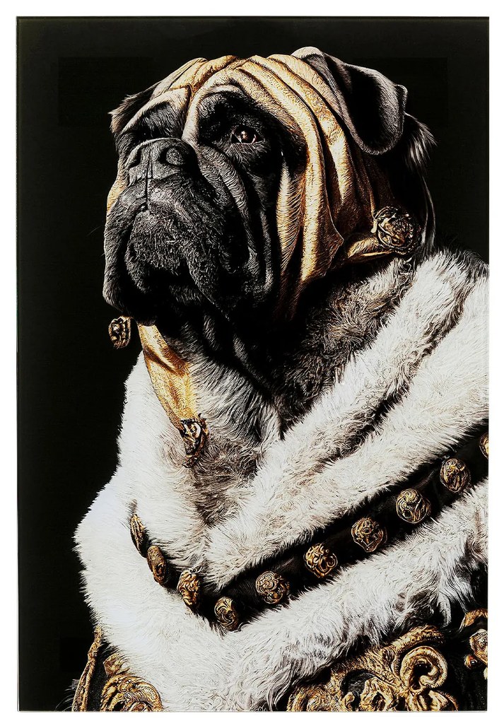King Mops obraz viacfarebný 40x60 cm