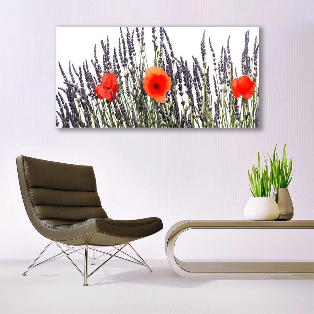 Obraz plexi Kvety maky pole trávy 120x60 cm