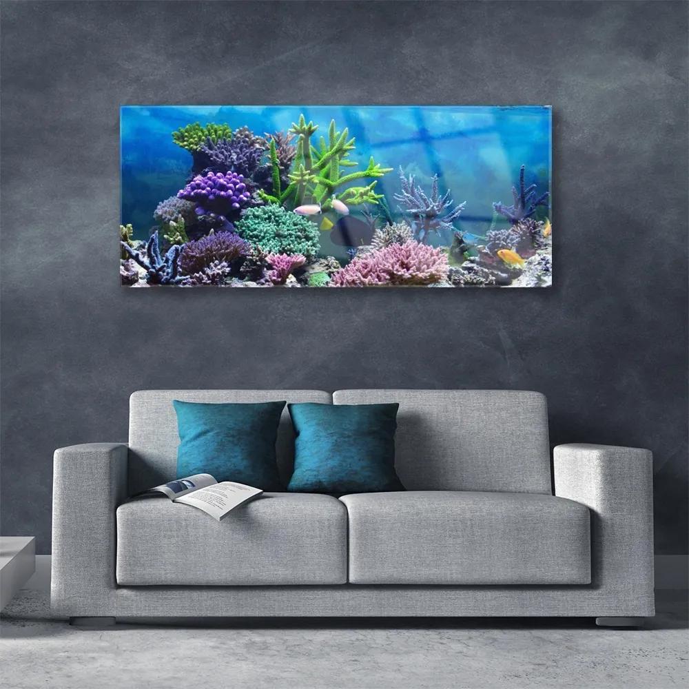 Obraz plexi Akvárium rybičky pod vodou 125x50 cm