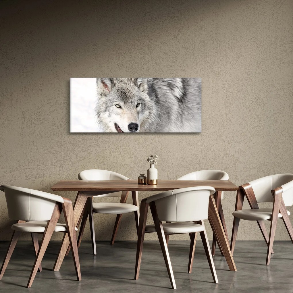 Obraz - Vlk v prírode (120x50 cm)