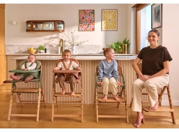 Lionelo - Detská jedálenská stolička 3v1 MEGAN Green Wood