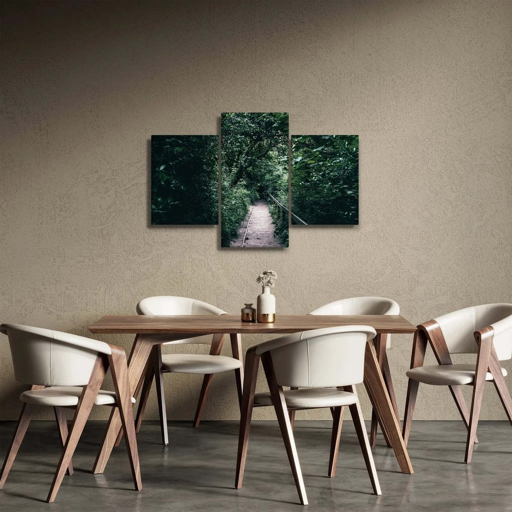 Obraz - Cesta lesom (90x60 cm)