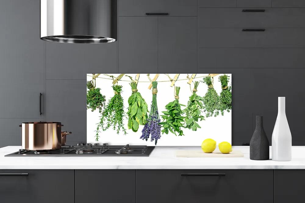 Sklenený obklad Do kuchyne Plátky kvety byliny 125x50 cm