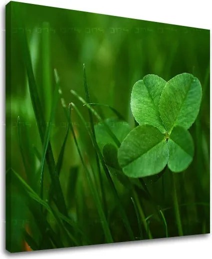 Obraz na stenu RASTLINY RA008E12