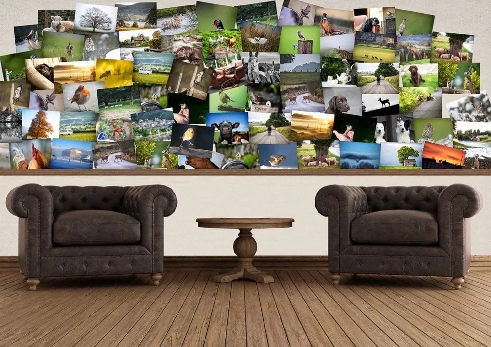 1Wall Kreatívna koláž na stenu 64 dielov 37,5 x 27,5cm Farma