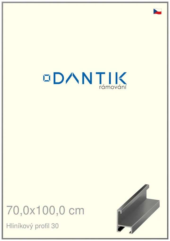 DANTIK rám na obraz 70x100 | ALU Ocelová (Plexi Čiré)