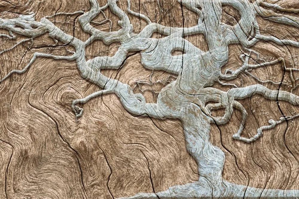 Tapeta abstraktný strom na dreve v béžovom - 150x270