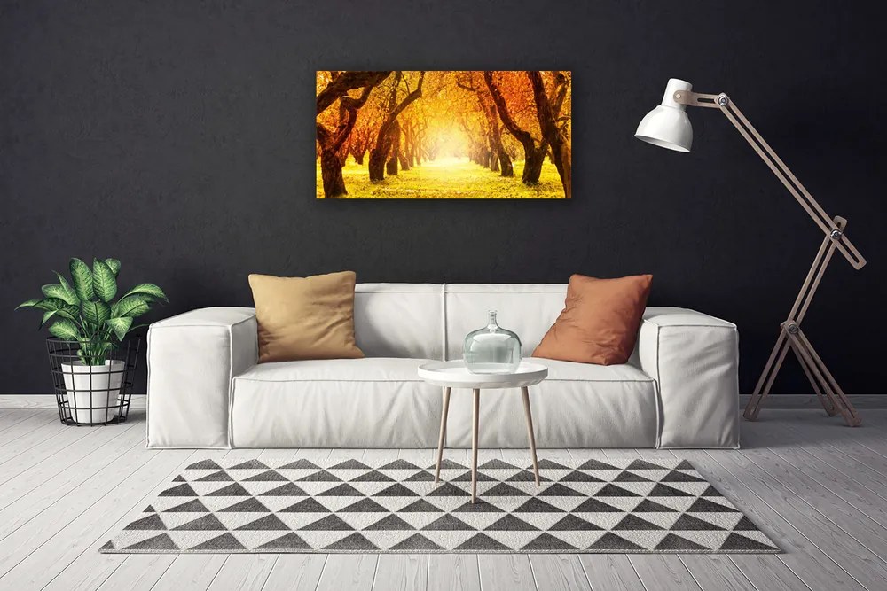 Obraz Canvas Les chodník stromy príroda 120x60 cm