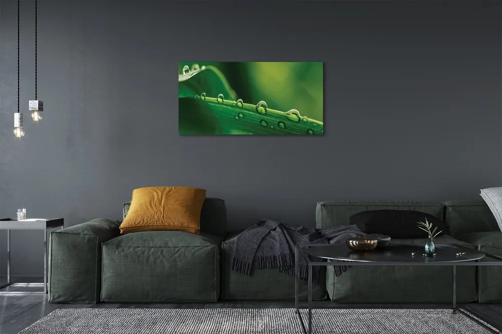 Obraz canvas Kvapky tráva makro 120x60 cm