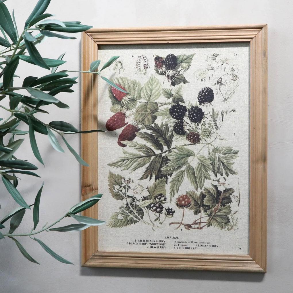 Chic Antique Botanický obraz v ráme Berries 43x33cm