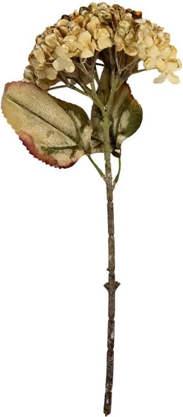 Béžová umelá dekorácia sušený kvet hortenzie - 15*15*47 cm